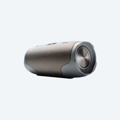 Portable Bluetooth Speaker