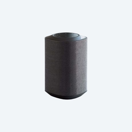 Smart Speaker with Touch Control